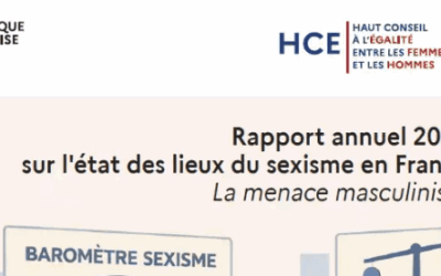 La menace masculiniste